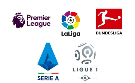 表现无疑成 表现无疑成